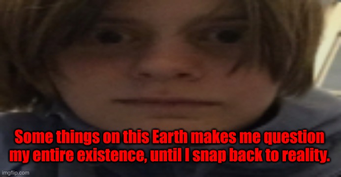 . | Some things on this Earth makes me question my entire existence, until I snap back to reality. | image tagged in darthswede silly serious face | made w/ Imgflip meme maker