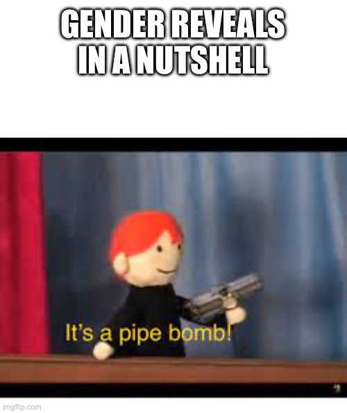it's a pipe bomb! | GENDER REVEALS IN A NUTSHELL | image tagged in it's a pipe bomb | made w/ Imgflip meme maker