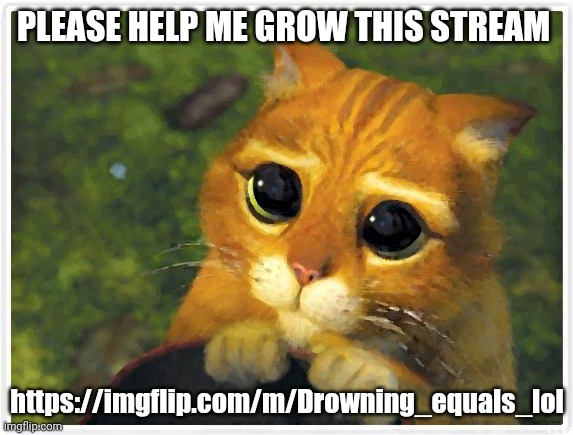 Please help my stream get popular | PLEASE HELP ME GROW THIS STREAM; https://imgflip.com/m/Drowning_equals_lol | image tagged in memes,shrek cat | made w/ Imgflip meme maker