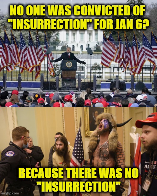 Gaslighting only works on weak-minded | NO ONE WAS CONVICTED OF 
"INSURRECTION" FOR JAN 6? BECAUSE THERE WAS NO
"INSURRECTION" | image tagged in january | made w/ Imgflip meme maker