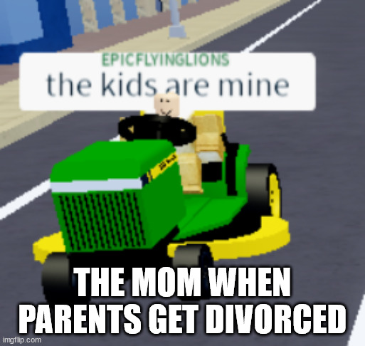 The kids are mine | THE MOM WHEN PARENTS GET DIVORCED | image tagged in the kids are mine | made w/ Imgflip meme maker