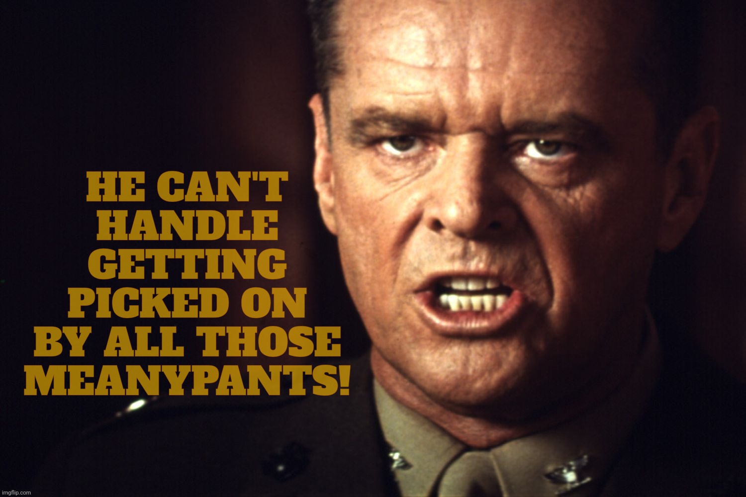 Don't be a meany to imitation Toby's,,, | HE CAN'T
HANDLE
GETTING
PICKED ON
BY ALL THOSE
MEANYPANTS! | image tagged in jack nicholson,a few good men,you can't handle the truth,he can't handle the meanies,why's everybody always pickin' on me | made w/ Imgflip meme maker