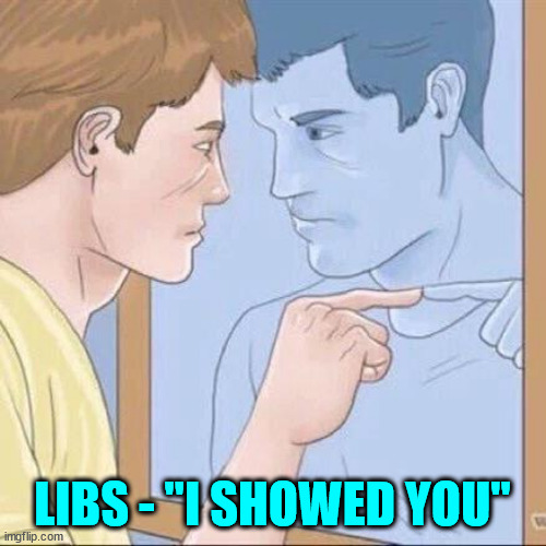 They're too stupid to see... | LIBS - "I SHOWED YOU" | image tagged in pointing mirror guy,libs,it is all about,owning people | made w/ Imgflip meme maker