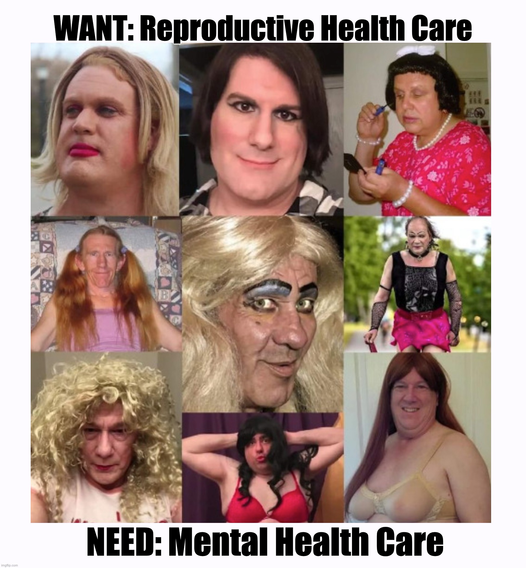 The Difference Between Wants and Needs | WANT: Reproductive Health Care; NEED: Mental Health Care | image tagged in trans,mental | made w/ Imgflip meme maker
