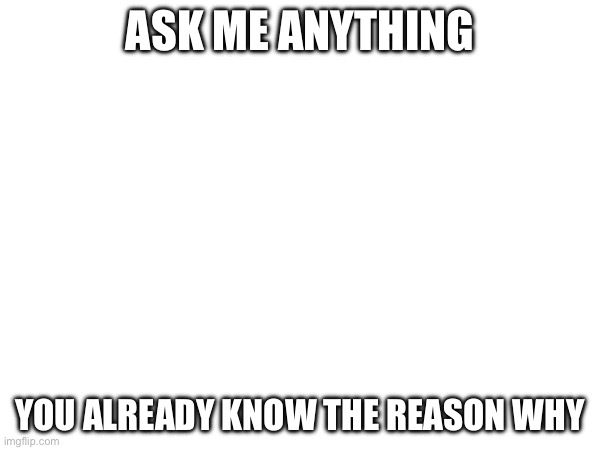 ASK ME ANYTHING; YOU ALREADY KNOW THE REASON WHY | made w/ Imgflip meme maker