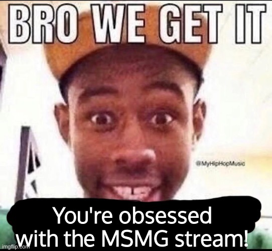 Bro we get it (blank) | You're obsessed with the MSMG stream! | image tagged in bro we get it blank | made w/ Imgflip meme maker