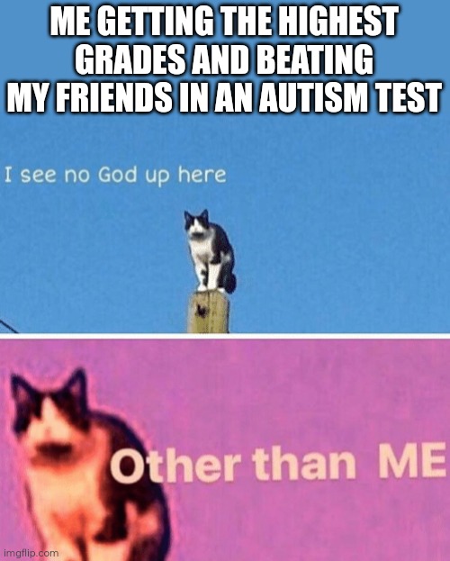 Hail pole cat | ME GETTING THE HIGHEST GRADES AND BEATING MY FRIENDS IN AN AUTISM TEST | image tagged in hail pole cat | made w/ Imgflip meme maker