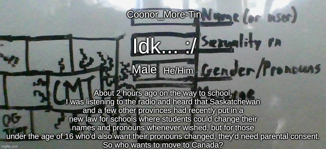 Sorry that the message is too long... | Coonor_More-Tin; About 2 hours ago on the way to school, I was listening to the radio and heard that Saskatchewan and a few other provinces had recently put in a new law for schools where students could change their names and pronouns whenever wished, but for those under the age of 16 who'd also want their pronouns changed, they'd need parental consent.
So who wants to move to Canada? Idk... :/; Male; He/Him | image tagged in cmt's cool template,fresh memes,pronouns,lgbtq | made w/ Imgflip meme maker