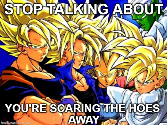 DBZ you're scaring the hoes away | STOP TALKING ABOUT; YOU'RE SCARING THE HOES 
AWAY | image tagged in dbz,dbz meme,hoes,you're scaring the hoes away,ur scaring the hoes | made w/ Imgflip meme maker