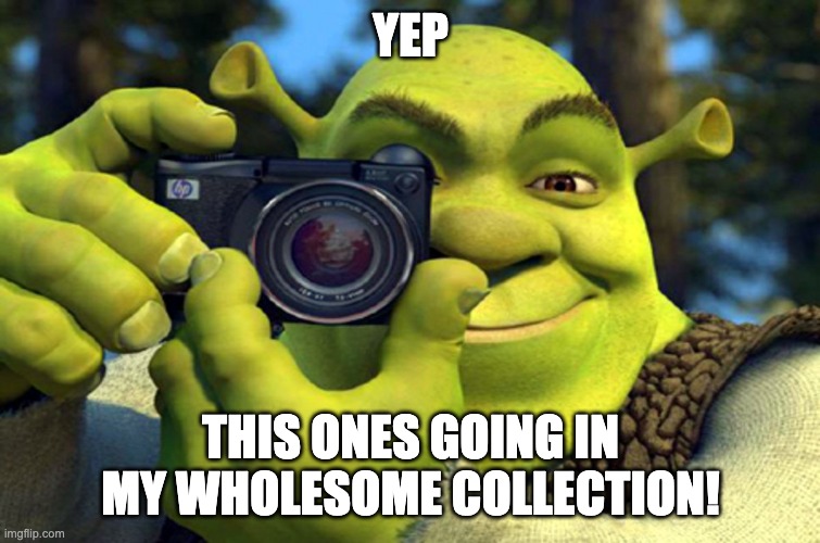 shrek camera | YEP THIS ONES GOING IN MY WHOLESOME COLLECTION! | image tagged in shrek camera | made w/ Imgflip meme maker
