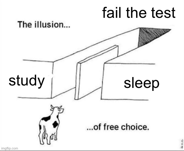 Illusion of free choice | fail the test; study; sleep | image tagged in illusion of free choice | made w/ Imgflip meme maker