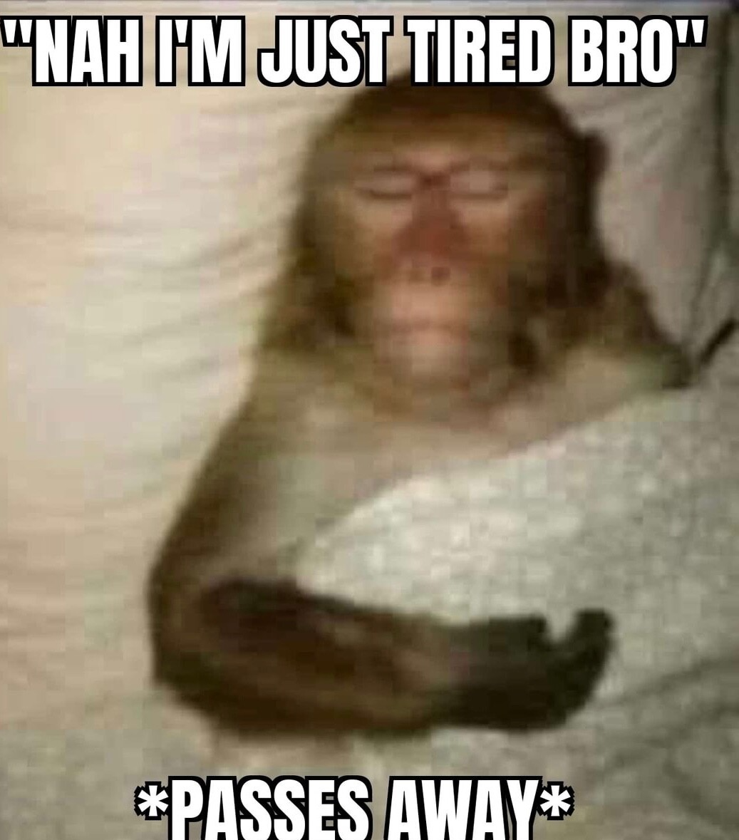 nah i'm just tired bro *passes away* Blank Meme Template