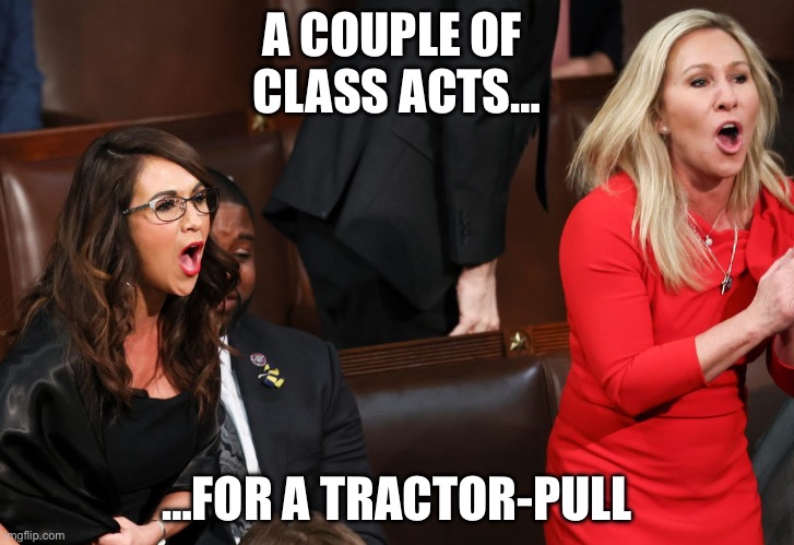 Tractor-Pull Twins | A COUPLE OF 
CLASS ACTS…; …FOR A TRACTOR-PULL | image tagged in twins | made w/ Imgflip meme maker