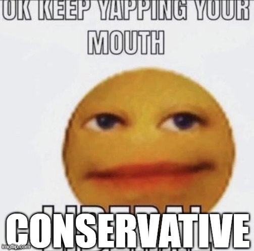 ok keep yapping your mouth LIBERAL | CONSERVATIVE | image tagged in ok keep yapping your mouth liberal | made w/ Imgflip meme maker