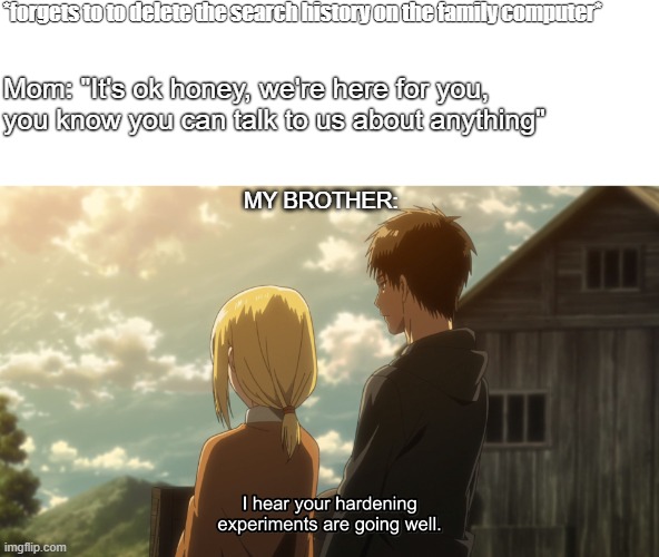 I promise I'm not a weeb | *forgets to to delete the search history on the family computer*; Mom: "It's ok honey, we're here for you, you know you can talk to us about anything"; MY BROTHER: | image tagged in aot,search history | made w/ Imgflip meme maker