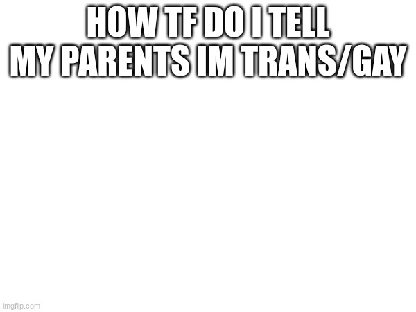 i dont know | HOW TF DO I TELL MY PARENTS IM TRANS/GAY | made w/ Imgflip meme maker