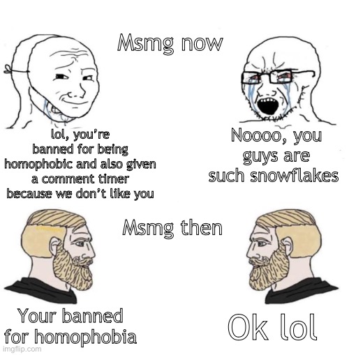 Like please | Msmg now; Noooo, you guys are such snowflakes; lol, you’re banned for being homophobic and also given a comment timer because we don’t like you; Msmg then; Ok lol; Your banned for homophobia | image tagged in chad we know | made w/ Imgflip meme maker