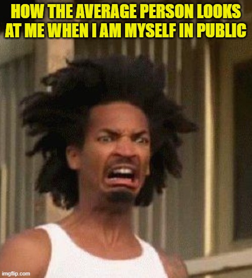 HOW THE AVERAGE PERSON LOOKS AT ME WHEN I AM MYSELF IN PUBLIC | made w/ Imgflip meme maker