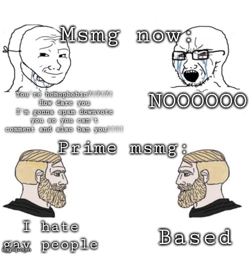 Chad we know | Msmg now:; NOOOOOO; You're homophobic?!?!?! How dare you I'm gonna spam downvote you so you can't comment and also ban you!!!! Prime msmg:; I hate gay people; Based | image tagged in chad we know | made w/ Imgflip meme maker