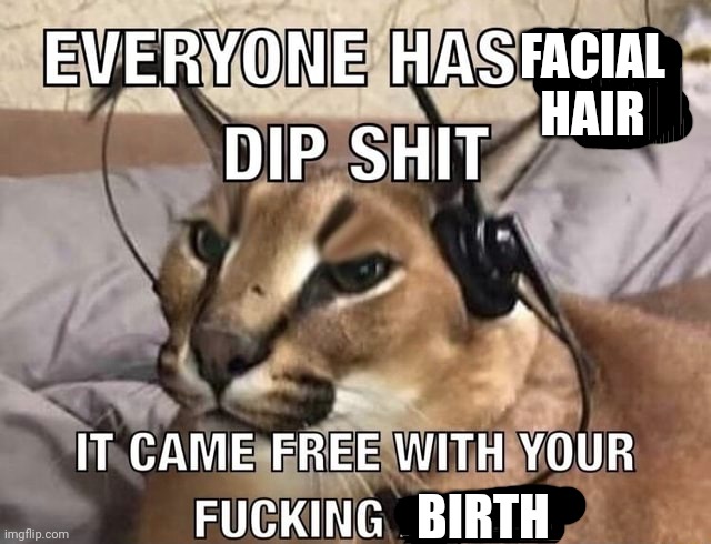 You have facial hair, it's called eyebrows. | FACIAL HAIR; BIRTH | image tagged in everyone has x dip shit | made w/ Imgflip meme maker
