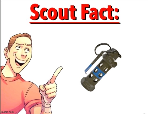 Scout Fact | image tagged in scout fact | made w/ Imgflip meme maker