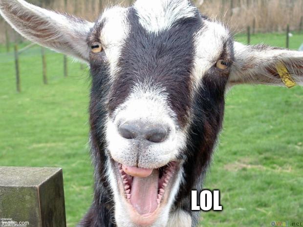 Goat be funny face smile | LOL | image tagged in goat be funny face smile | made w/ Imgflip meme maker