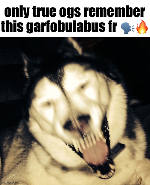 only true ogs remember this garfobulabus fr 🗣️🔥 | made w/ Imgflip meme maker