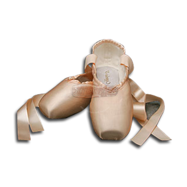 Ballet shoes Blank Meme Template