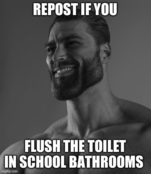 Giga Chad | REPOST IF YOU; FLUSH THE TOILET IN SCHOOL BATHROOMS | image tagged in giga chad | made w/ Imgflip meme maker