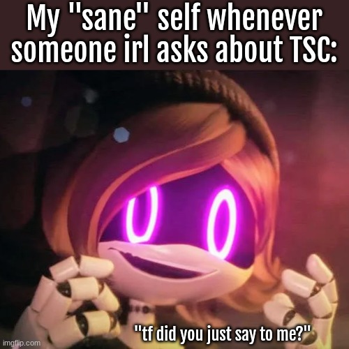 tf did you say? | My "sane" self whenever someone irl asks about TSC:; "tf did you just say to me?" | image tagged in uzi going crazy | made w/ Imgflip meme maker