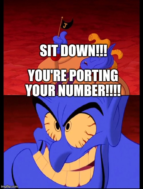 Cheerleader Genie | SIT DOWN!!! YOU'RE PORTING YOUR NUMBER!!!! | image tagged in cheerleader genie | made w/ Imgflip meme maker