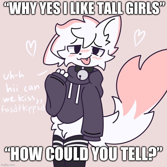 boykisser glow up 2 (hi :3) | “WHY YES I LIKE TALL GIRLS”; “HOW COULD YOU TELL?” | image tagged in boykisser glow up 2 hi 3 | made w/ Imgflip meme maker