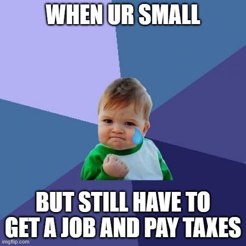 Success Kid | WHEN UR SMALL; BUT STILL HAVE TO GET A JOB AND PAY TAXES | image tagged in memes,success kid | made w/ Imgflip meme maker