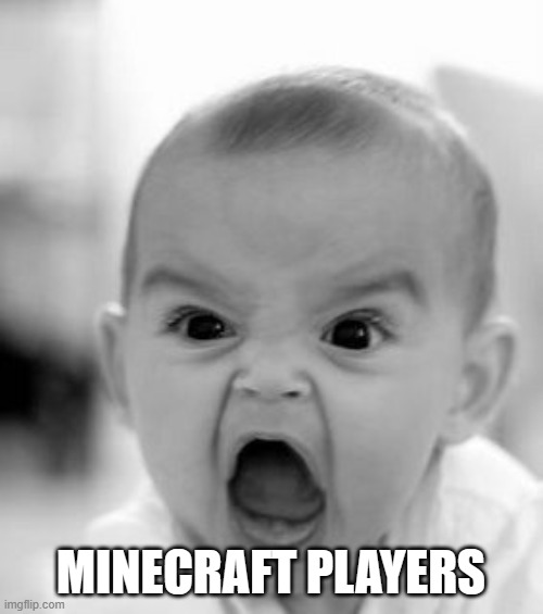 Angry Baby Meme | MINECRAFT PLAYERS | image tagged in memes,angry baby | made w/ Imgflip meme maker