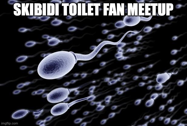 sperm swimming | SKIBIDI TOILET FAN MEETUP | image tagged in sperm swimming | made w/ Imgflip meme maker