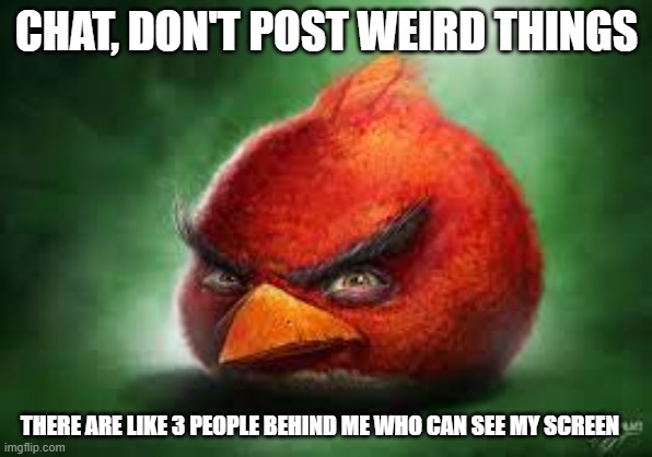Realistic Red Angry Birds | CHAT, DON'T POST WEIRD THINGS; THERE ARE LIKE 3 PEOPLE BEHIND ME WHO CAN SEE MY SCREEN | image tagged in realistic red angry birds | made w/ Imgflip meme maker