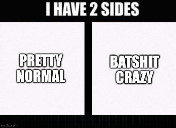 Accidently overdosed on melatonin. this day is gonna suck | PRETTY NORMAL; BATSHIT CRAZY | image tagged in i have two sides | made w/ Imgflip meme maker