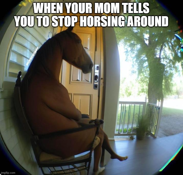 Horse sitting in front porch | WHEN YOUR MOM TELLS YOU TO STOP HORSING AROUND | image tagged in horse sitting in a chair | made w/ Imgflip meme maker