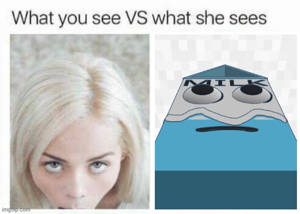 What you see vs what she sees | image tagged in what you see vs what she sees | made w/ Imgflip meme maker
