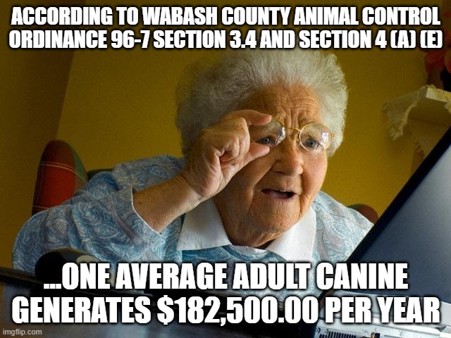 Grandma Finds The Internet | ACCORDING TO WABASH COUNTY ANIMAL CONTROL ORDINANCE 96-7 SECTION 3.4 AND SECTION 4 (A) (E); ...ONE AVERAGE ADULT CANINE GENERATES $182,500.00 PER YEAR | image tagged in memes,grandma finds the internet | made w/ Imgflip meme maker