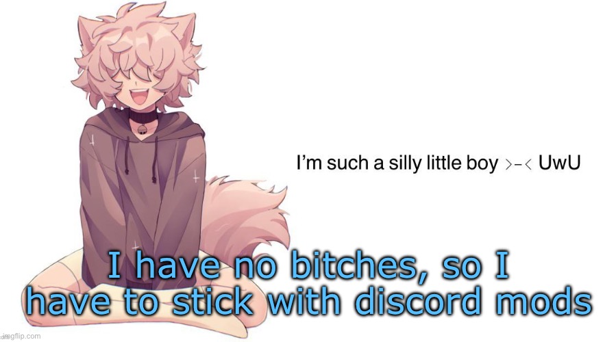 Silly_Neko announcement template | I have no bitches, so I have to stick with discord mods | image tagged in silly_neko announcement template | made w/ Imgflip meme maker
