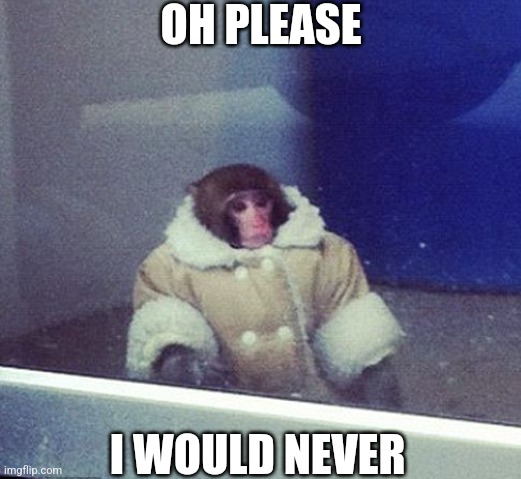 Oh please I would never | OH PLEASE; I WOULD NEVER | image tagged in memes,funny,monkey | made w/ Imgflip meme maker