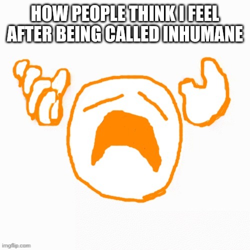 NOOO | HOW PEOPLE THINK I FEEL AFTER BEING CALLED INHUMANE | image tagged in nooo | made w/ Imgflip meme maker