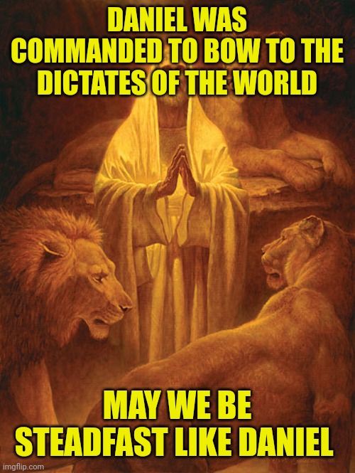Daniel in the lion’s den | DANIEL WAS COMMANDED TO BOW TO THE DICTATES OF THE WORLD; MAY WE BE STEADFAST LIKE DANIEL | image tagged in daniel in the lion s den | made w/ Imgflip meme maker