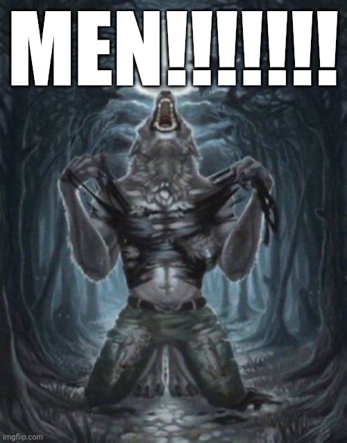alpha wolf | MEN!!!!!!! | image tagged in alpha wolf | made w/ Imgflip meme maker