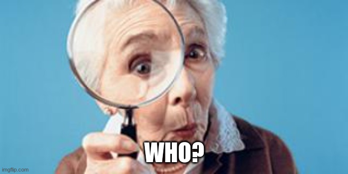 Old lady magnifying glass | WHO? | image tagged in old lady magnifying glass | made w/ Imgflip meme maker