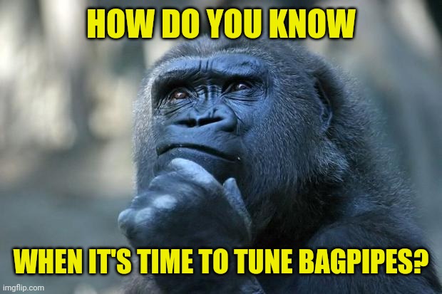 Deep Thoughts | HOW DO YOU KNOW; WHEN IT'S TIME TO TUNE BAGPIPES? | image tagged in deep thoughts | made w/ Imgflip meme maker