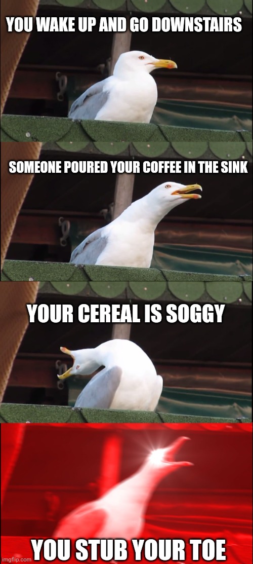 A bad morning | YOU WAKE UP AND GO DOWNSTAIRS; SOMEONE POURED YOUR COFFEE IN THE SINK; YOUR CEREAL IS SOGGY; YOU STUB YOUR TOE | image tagged in memes,inhaling seagull | made w/ Imgflip meme maker