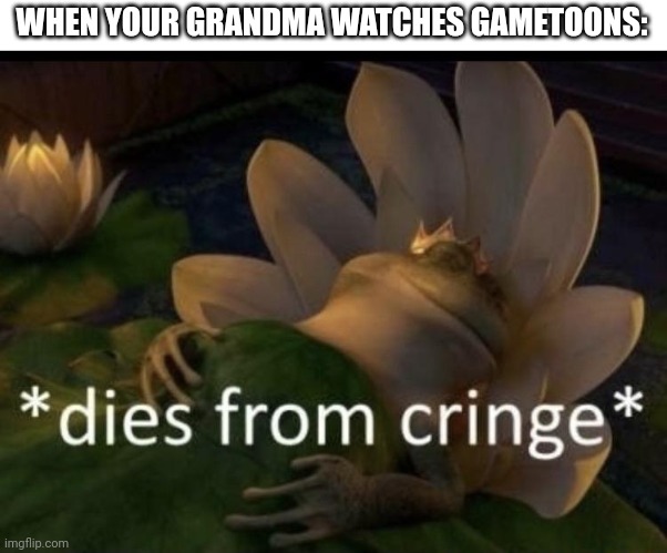Dies from cringe | WHEN YOUR GRANDMA WATCHES GAMETOONS: | image tagged in dies from cringe | made w/ Imgflip meme maker