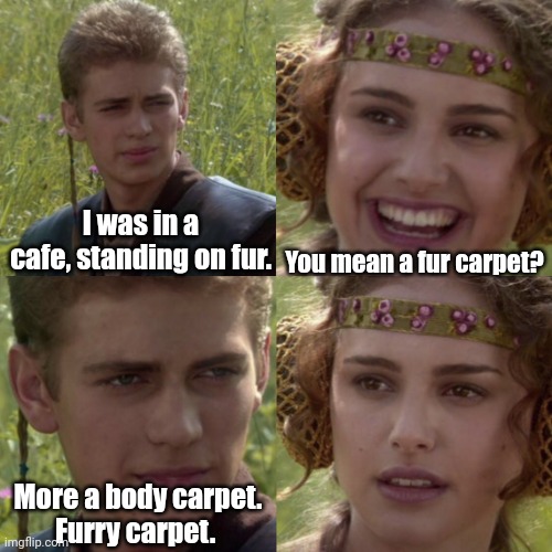 Standing on a pile of dead furries. | You mean a fur carpet? I was in a cafe, standing on fur. More a body carpet.
Furry carpet. | image tagged in for the better right blank | made w/ Imgflip meme maker